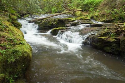 April 27 - Eastatoe Creek Heritage Preserve, SC