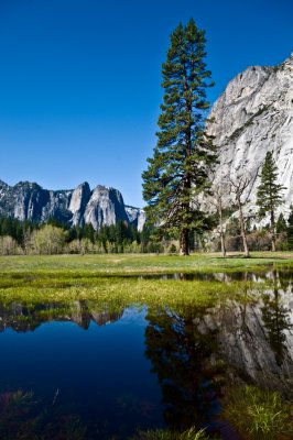 Yosemite 1 web.jpg
