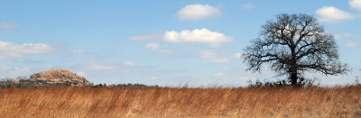 wichita landscape.jpg
