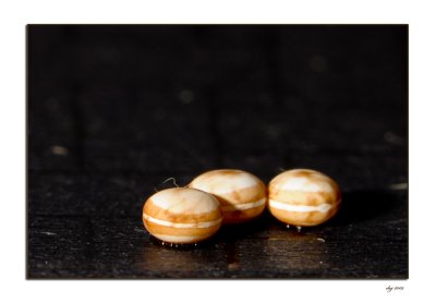 D_2047 a eggs 2.jpg