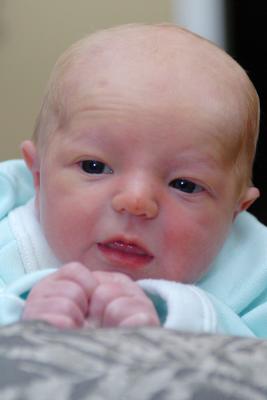DSC_8051-2aa.jpg