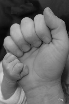 DSC_8026-aa-bw.jpg