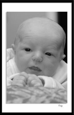 DSC_8051-2aa-bw.jpg