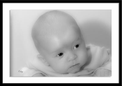 DSC_8399-aa6x4fr.jpg