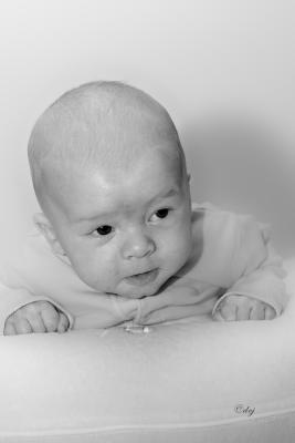 DSC_8398-aa4x6bw.jpg