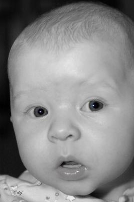 DSC_8747-a.jpg