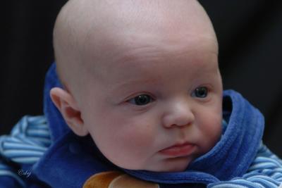DSC_8784-aa.jpg