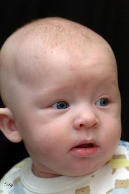 DSC_8805-aa.jpg