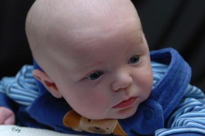 DSC_8789-bb.jpg