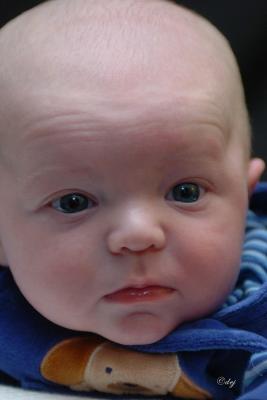 DSC_8782-aa.jpg