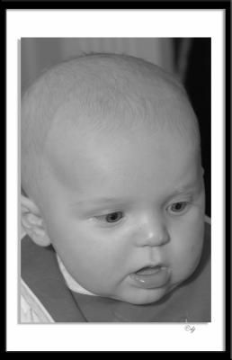 DSC_9298-bw_aa.jpg