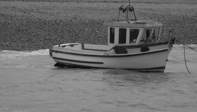 g3/79/279379/3/57404650.image0007.jpg
