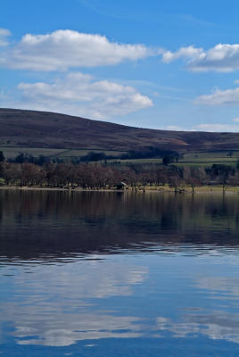 g3/79/279379/3/57614041.image07.jpg