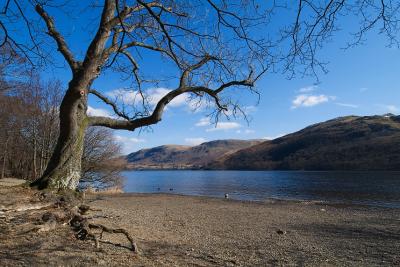g3/79/279379/3/57620884.image15.jpg