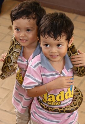 kids like snakes