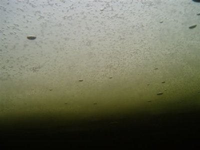 P1100042.JPG