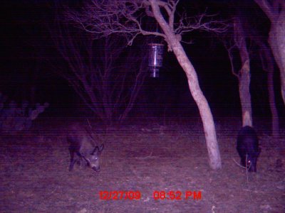 MDGC0004.JPG