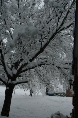 DSC_0002.jpg