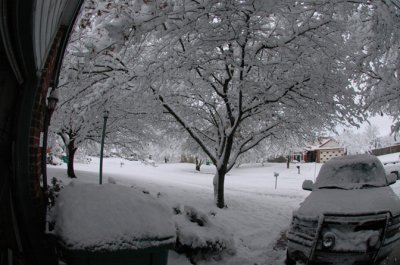 DSC_0004.jpg