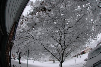 DSC_0005.jpg