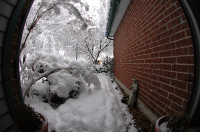 DSC_0006.jpg