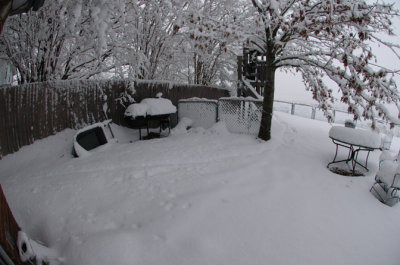 DSC_0008.jpg