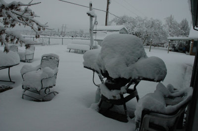 DSC_0009.jpg