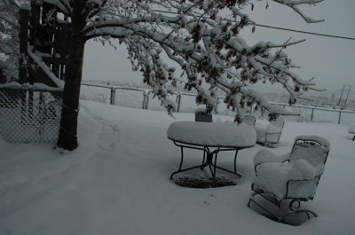 DSC_0011.jpg