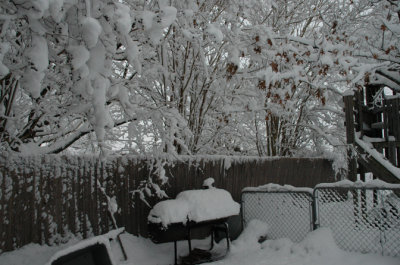 DSC_0012.jpg