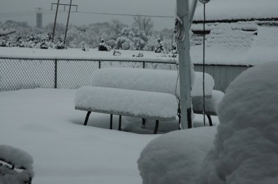 DSC_0013.jpg