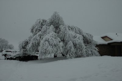 DSC_0014.jpg