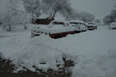 DSC_0016.jpg