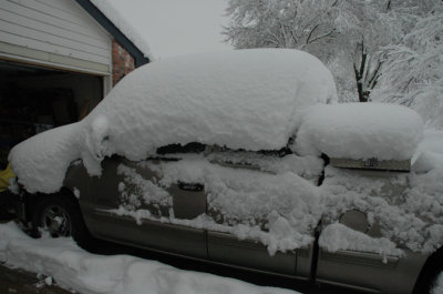 DSC_0019.jpg