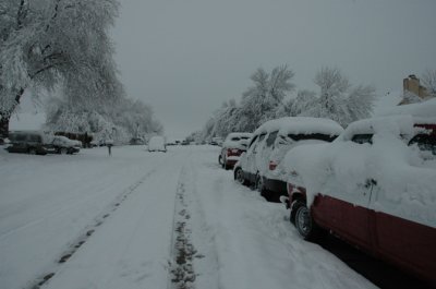 DSC_0023.jpg