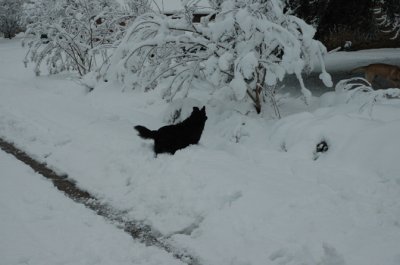 DSC_0024.jpg