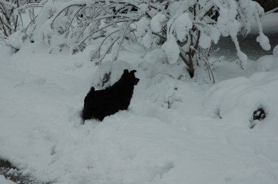DSC_0025.jpg