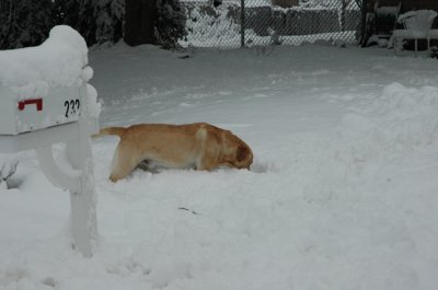DSC_0027.jpg