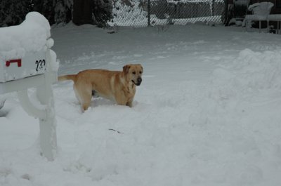 DSC_0028.jpg