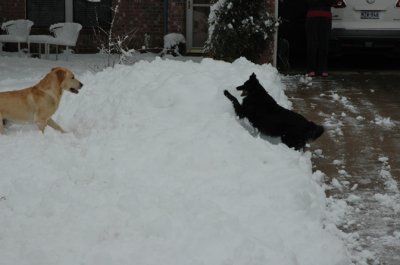 DSC_0032.jpg