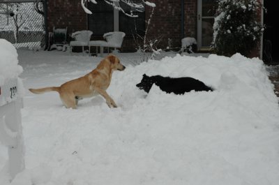 DSC_0033.jpg