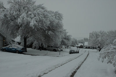DSC_0034.jpg