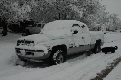 DSC_0036.jpg