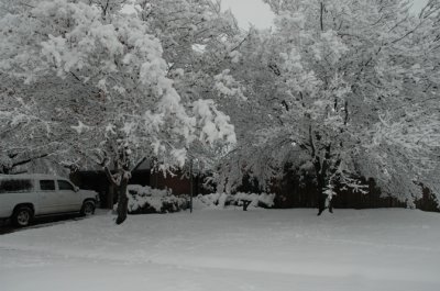 DSC_0038.jpg