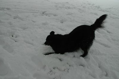 DSC_0039.jpg