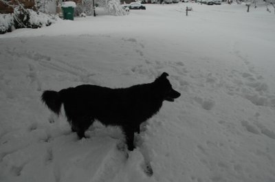 DSC_0040.jpg