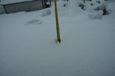 DSC_0041.jpg