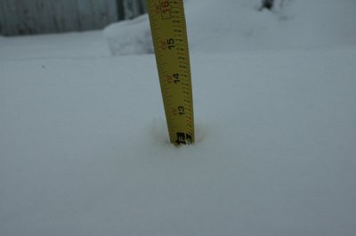 DSC_0042.jpg