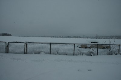DSC_0043.jpg