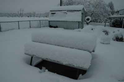 DSC_0044.jpg