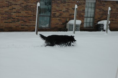 DSC_0046.jpg